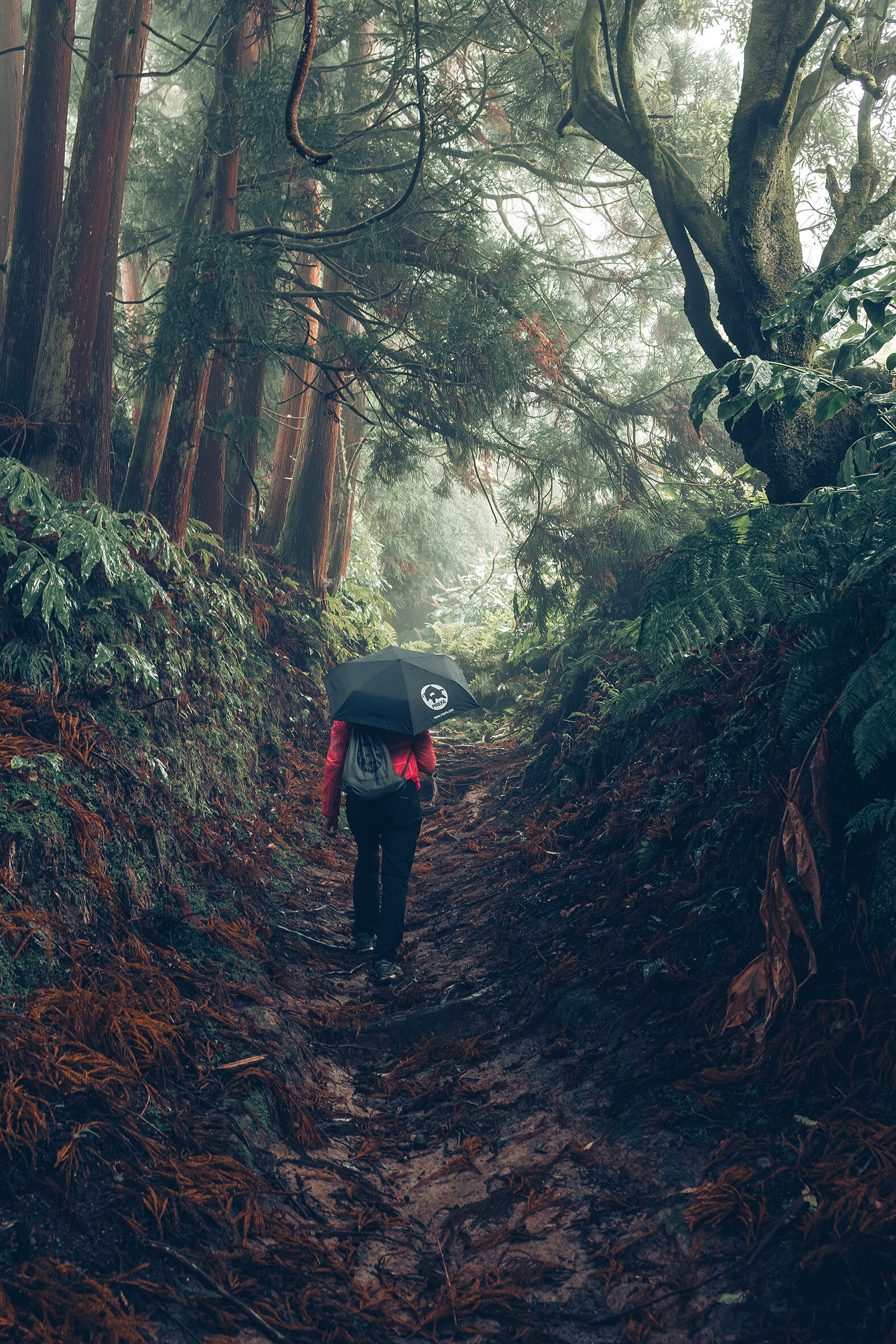 Fényképfelvétel egy erdőben, túrázó nő, piros dzsekivel, PREFA esernyővel és tornazsákkal, a PREFA környezetvédelmet és fenntarthatóságot, valamint a körforgásos gazdaságot és az újrahasznosítást jelképezi