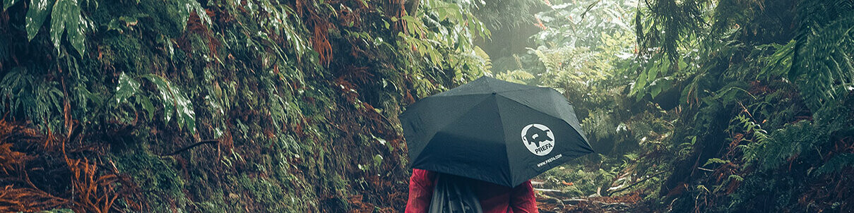 Fényképfelvétel egy erdőben, túrázó nő, piros dzsekivel, PREFA esernyővel és tornazsákkal, a PREFA környezetvédelmet és fenntarthatóságot, valamint a körforgásos gazdaságot és az újrahasznosítást jelképezi